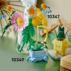 LEGO® Botanicals 10349 Veselé rostlinky