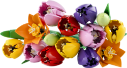 LEGO® Botanicals 11501 Kytice tulipánů
