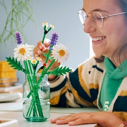LEGO® Botanicals 11508 Kopretiny