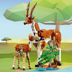 LEGO® Creator 31150 Divoká zvířata ze safari
