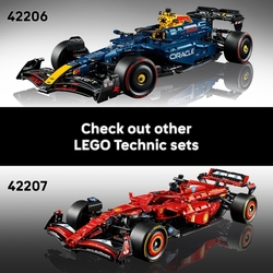 LEGO® Technic 42206 Auto Oracle Red Bull Racing RB20 F1