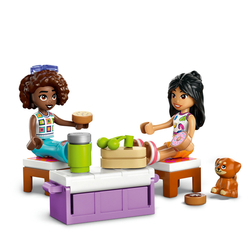 LEGO® Friends 42659 Výlet v autě s přáteli
