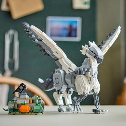 LEGO® Harry Potter™ 76427 Klofan

