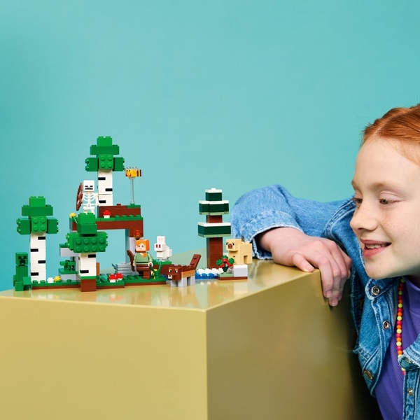 
LEGO® Minecraft® 21593 První noční dobrodružství
